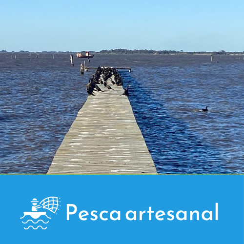 Projeto prevê isenção de taxa de licenciamento ambiental para trapiches comunitários