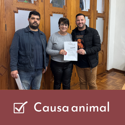 Projeto regulamenta circulação de cães de raças como pitbulls e rottweilers em locais públicos