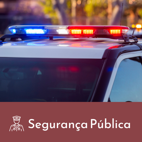 Câmara Municipal aprova a retomada emergencial da RONDEI